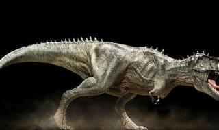 最早的恐龙化石距今多少年 恐龙距今多少年
